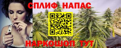 стаф Волгодонск
