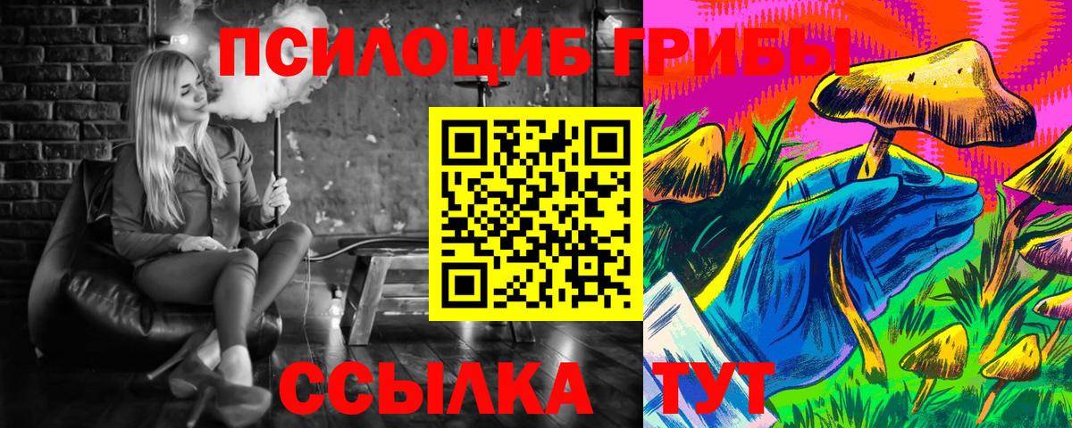 Галлюциногенные грибы Psilocybe  Вход с VPN  Чехов 